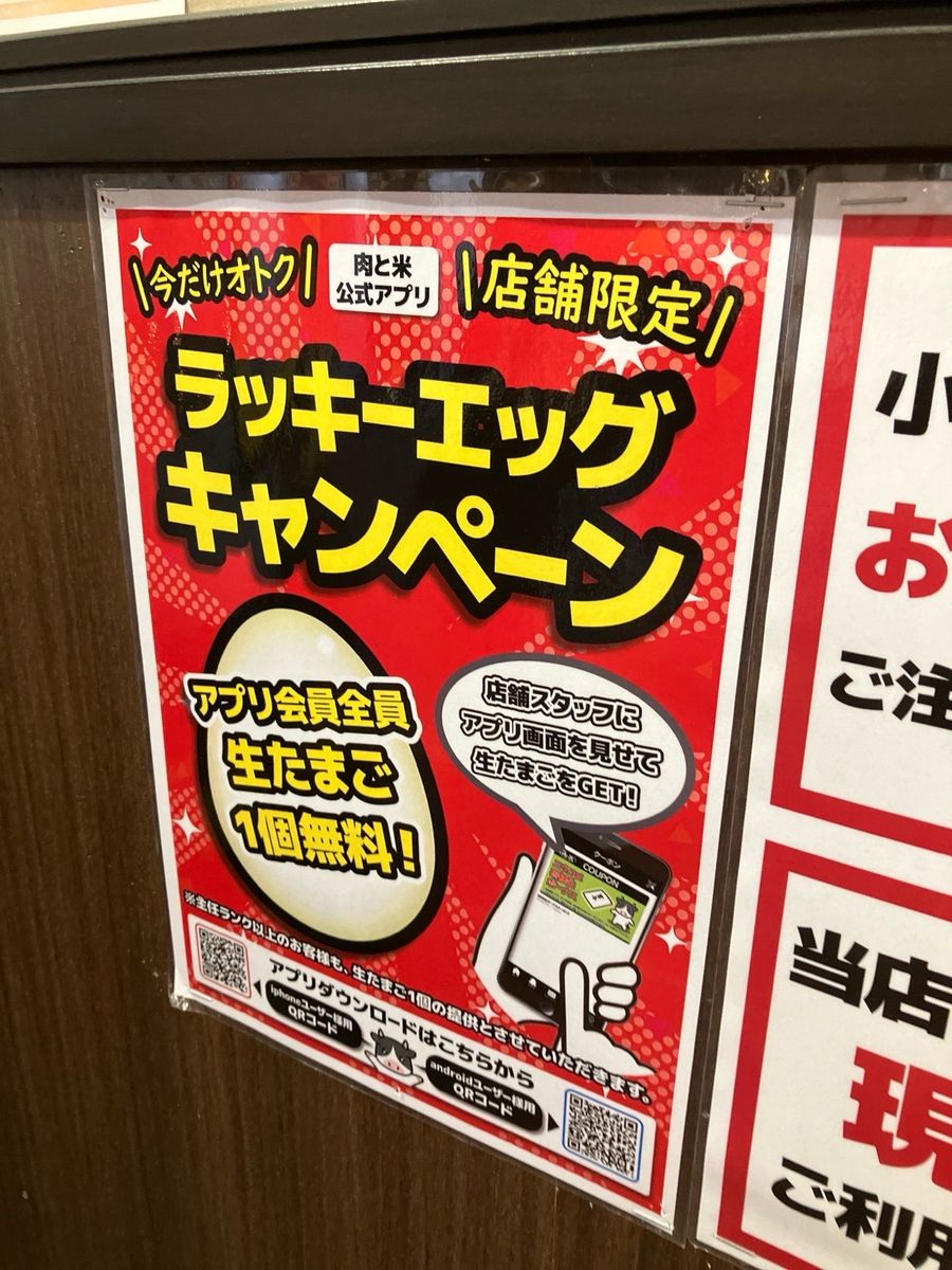 写真2