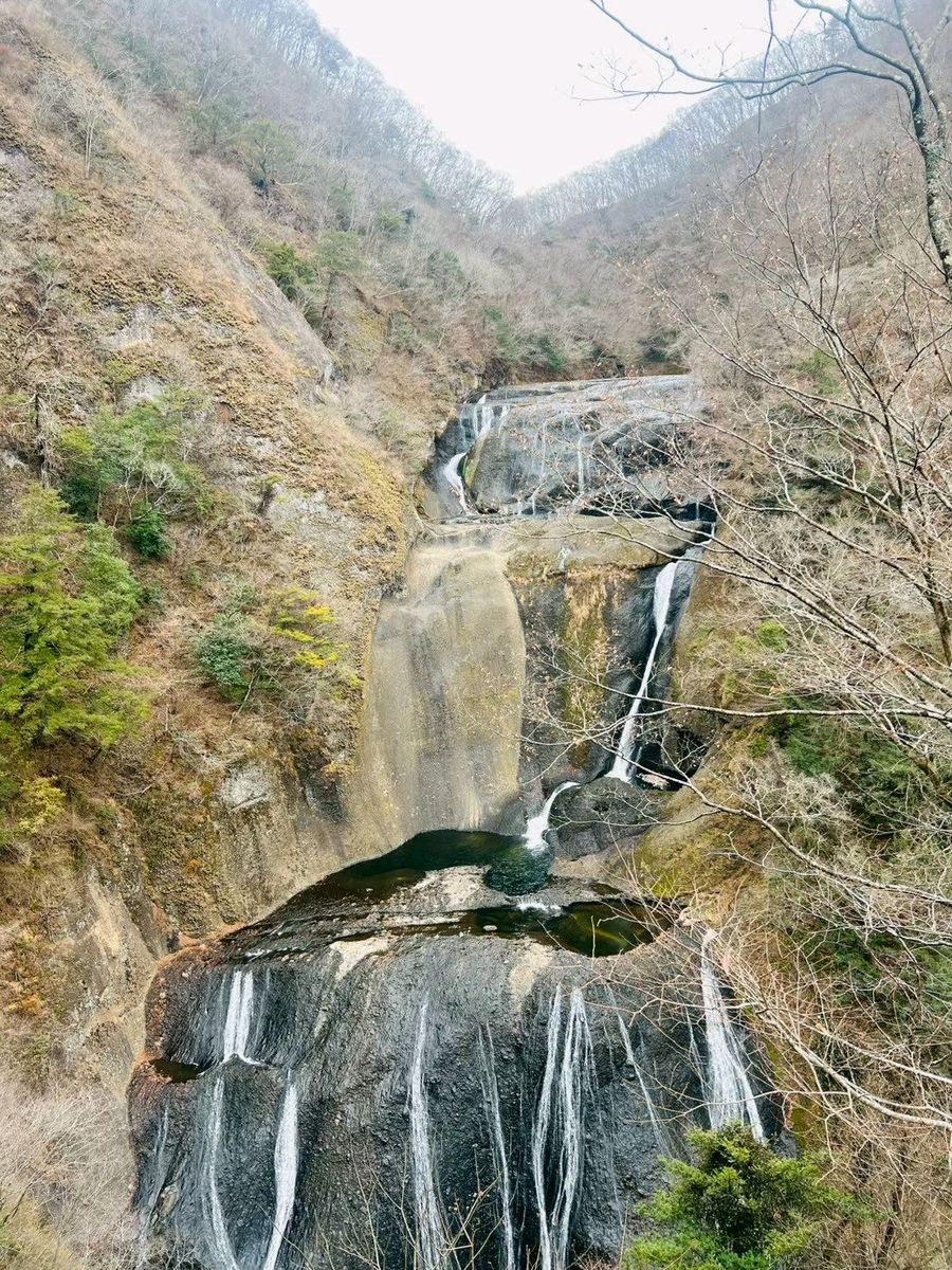 写真5
