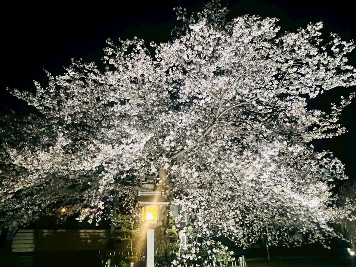 写真4