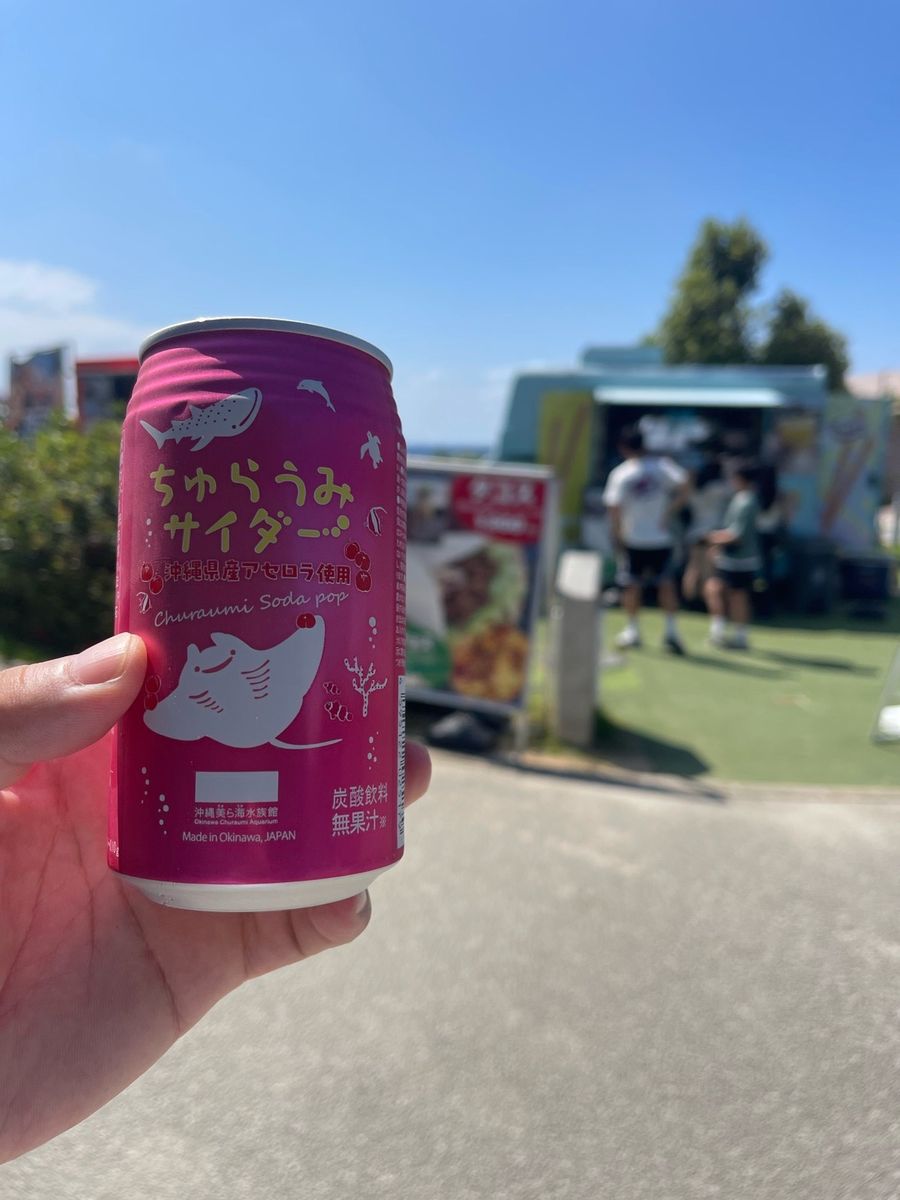 写真11